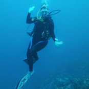 Donna Moore's photo