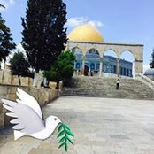 Eman Abukhader's photo