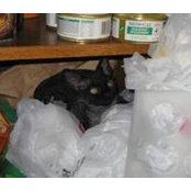 Lea Watts's photo