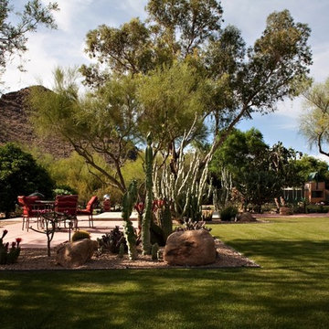 Vast Lawn Area