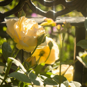 Cottage Garden with a View