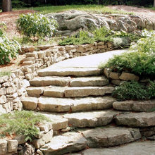 Natural Landscaping