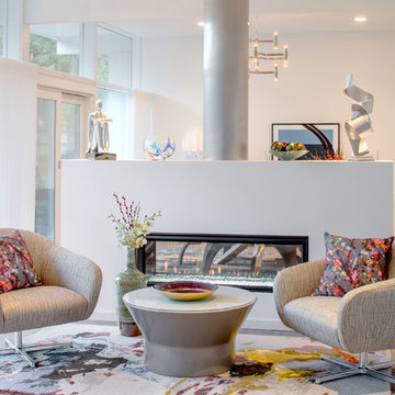 Contemporary Living Room