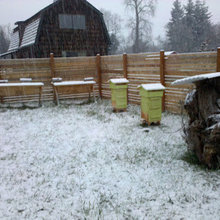 kyhouse BEEKEEPING