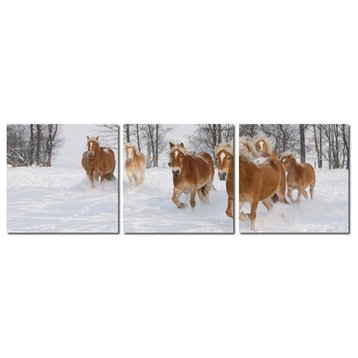 Horse Herd Mounted Print Triptych in Multicolor