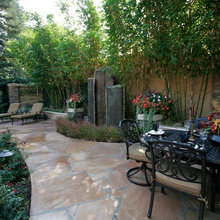 back yard
