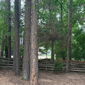 Safe Tree Removal and Property Protection