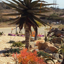 Anne's Earth Scapes. Specialize in Hard Landscaping