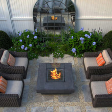 backyard area and garden
