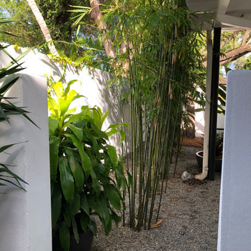 Urban Retreat near Downtown Miami