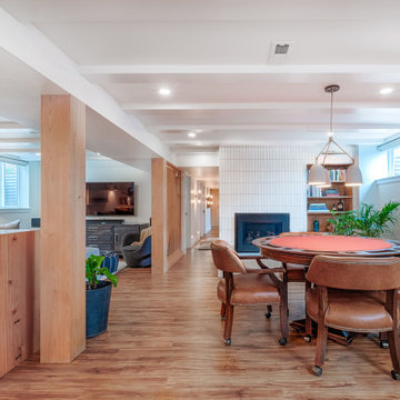 BASEMENT RENOVATION