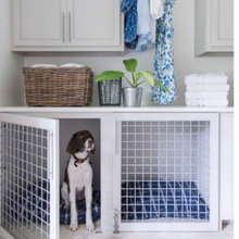 Gavin Gore Dog Space In House