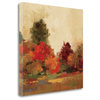 "Fall Forest III" By Silvia Vassileva, Giclee Print on Gallery Wrap Canvas