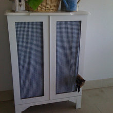 Hidden Litter Box
