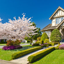 Front yard garden