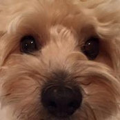 Crissey Nishimura's photo