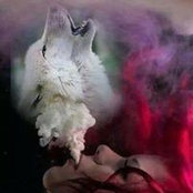Phyllis Alise McGeehan's photo