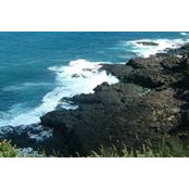 Debbie Olsen's photo