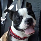 Carlu Moyet-Bruno's photo