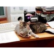 Luigi Arciero's photo