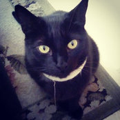 Randy Delucchi's photo