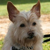 Terry Boyer's photo