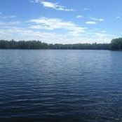 Jodi Macaluso's photo