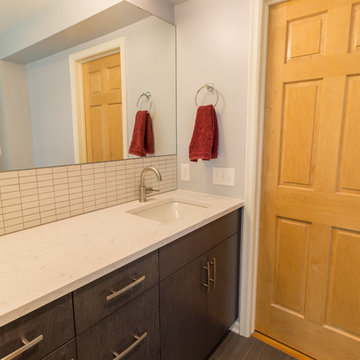 Project 3271-1 Contemporary Master Bathroom Remodel Saint Anthony MN 55418