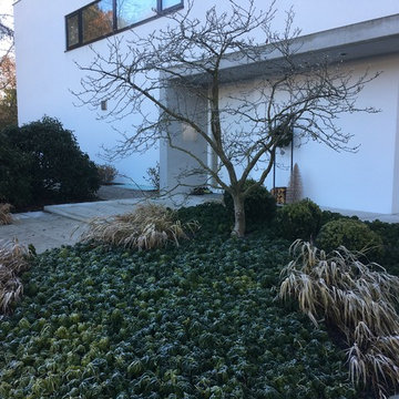 Bauhaus Garten