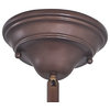 Schoolhouse Chandelier with Five Lights in Bronze Finish