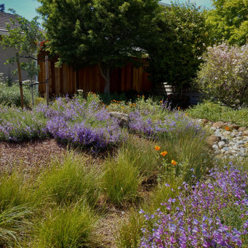 At Home in a Natural California Garden