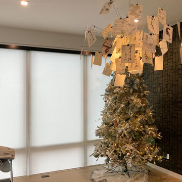 Springblinds 1% Solar Shades House Project