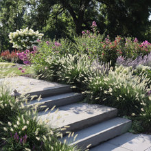 Property Landscape Ideas