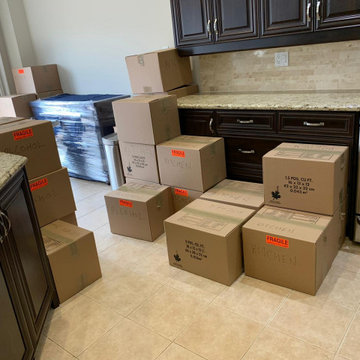 Apollo Moving Mississauga