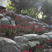 Landscape Ideas