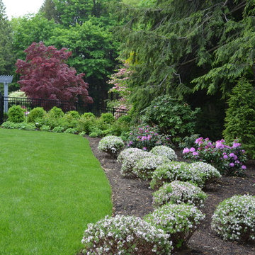 Layered Planting with 4 Season Interest