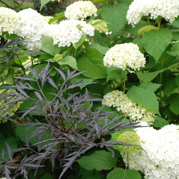 My Gardens