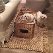 Jennifer Abernathy's photo