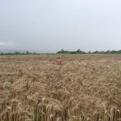Serban Popa's photo
