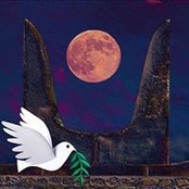 Gregory Panos's photo