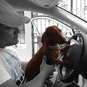 Jeffrey Geier's photo
