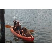 Barbara Murphy's photo