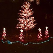 Michael Zipperer's photo