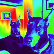 skehle's photo