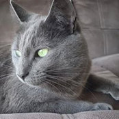 Sally O'Reilly's photo