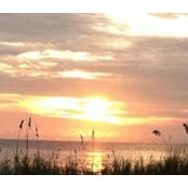 Anita Thurson's photo