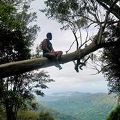 Nathan Borosak's photo