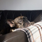 Martin Popp's photo