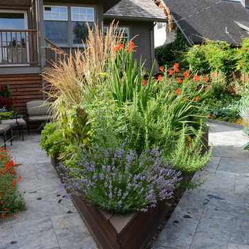 Raised Vegetable Bed / Ornamental Garden 2016