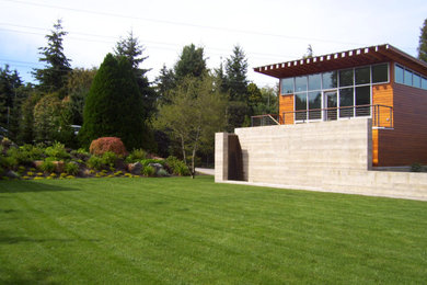 Home design - contemporary home design idea in Seattle